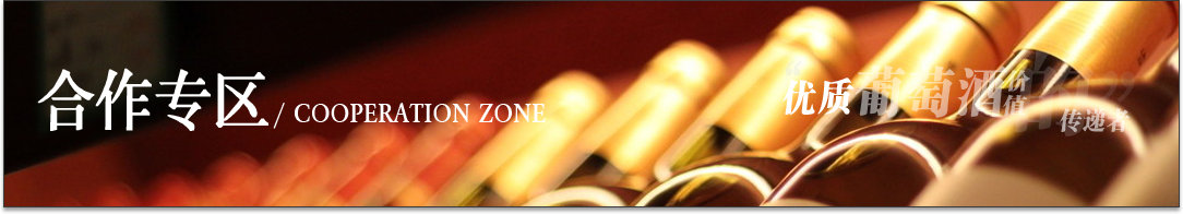 合作专区 cooperation zone